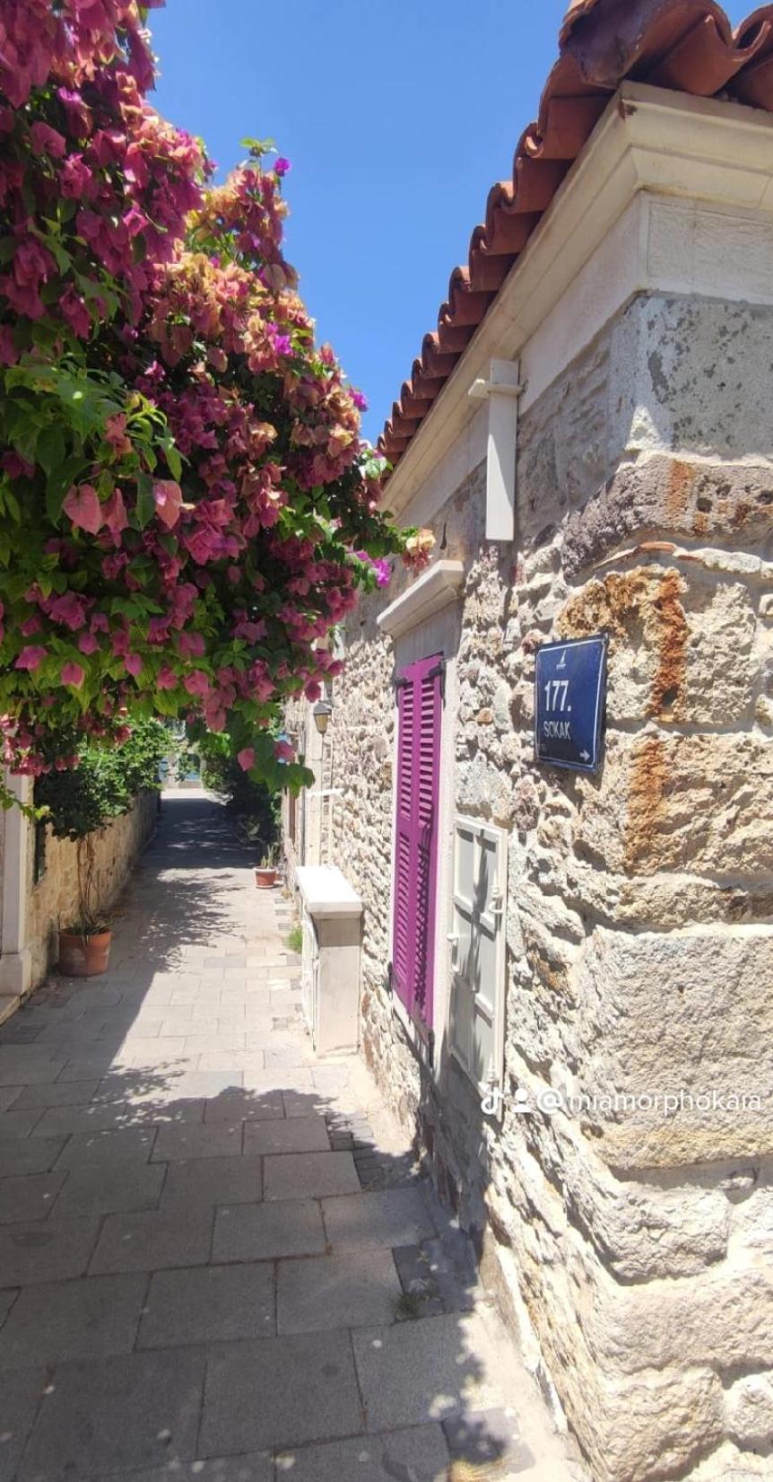 Mi Amor Phokaia Foça Dış mekan fotoğraf