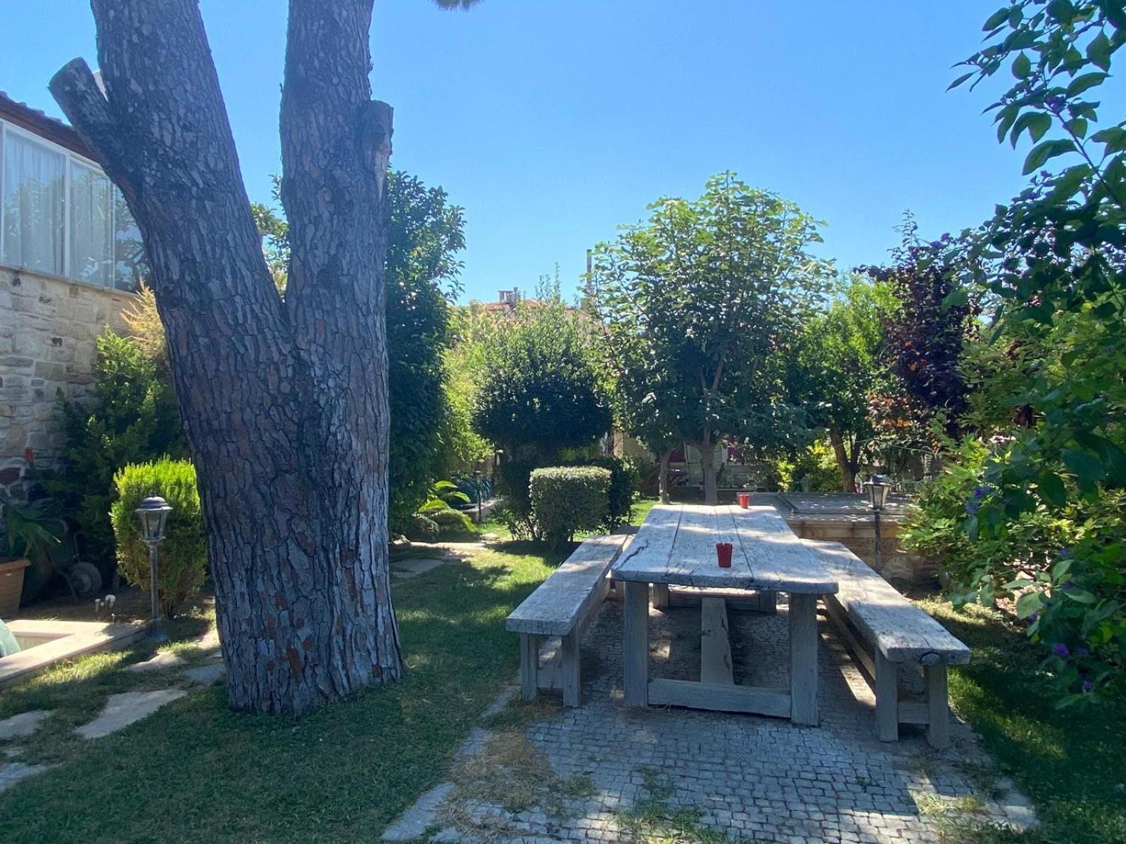 Mi Amor Phokaia Foça Dış mekan fotoğraf